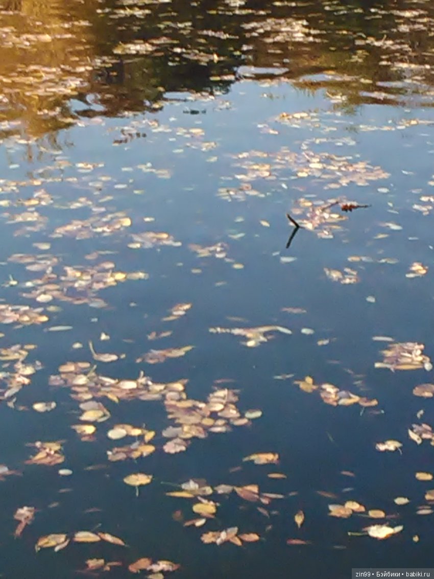 Золотая Осень в парке — Куклы Galoob Baby Face (Фейсинки): винтаж 90