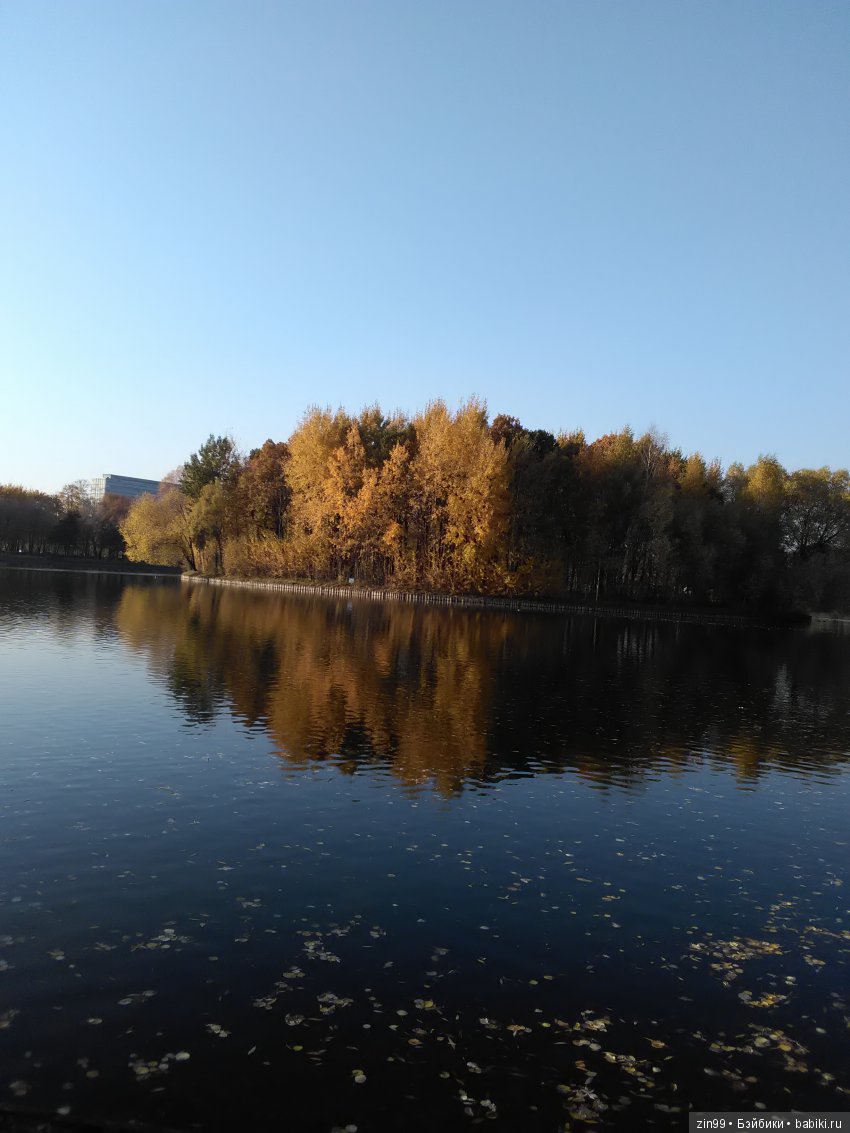 Золотая Осень в парке — Куклы Galoob Baby Face (Фейсинки): винтаж 90