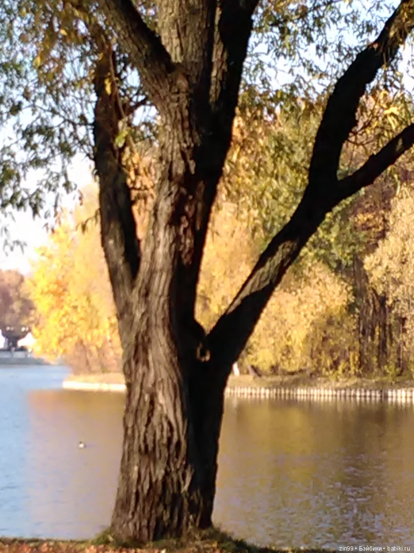 Золотая Осень в парке — Куклы Galoob Baby Face (Фейсинки): винтаж 90