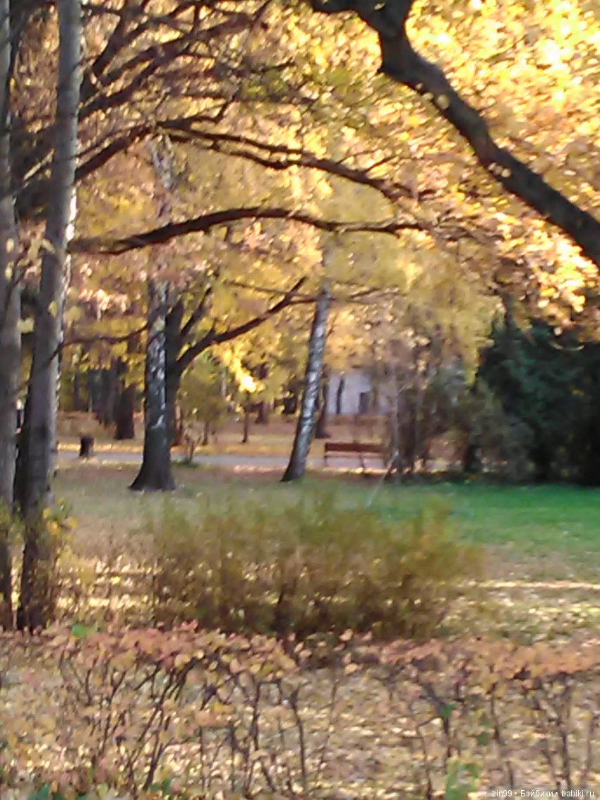 Золотая Осень в парке — Куклы Galoob Baby Face (Фейсинки): винтаж 90