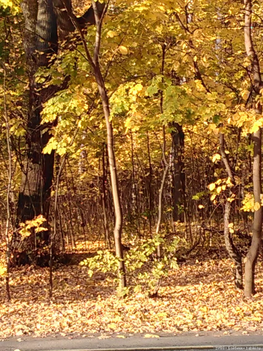 Золотая Осень в парке — Куклы Galoob Baby Face (Фейсинки): винтаж 90