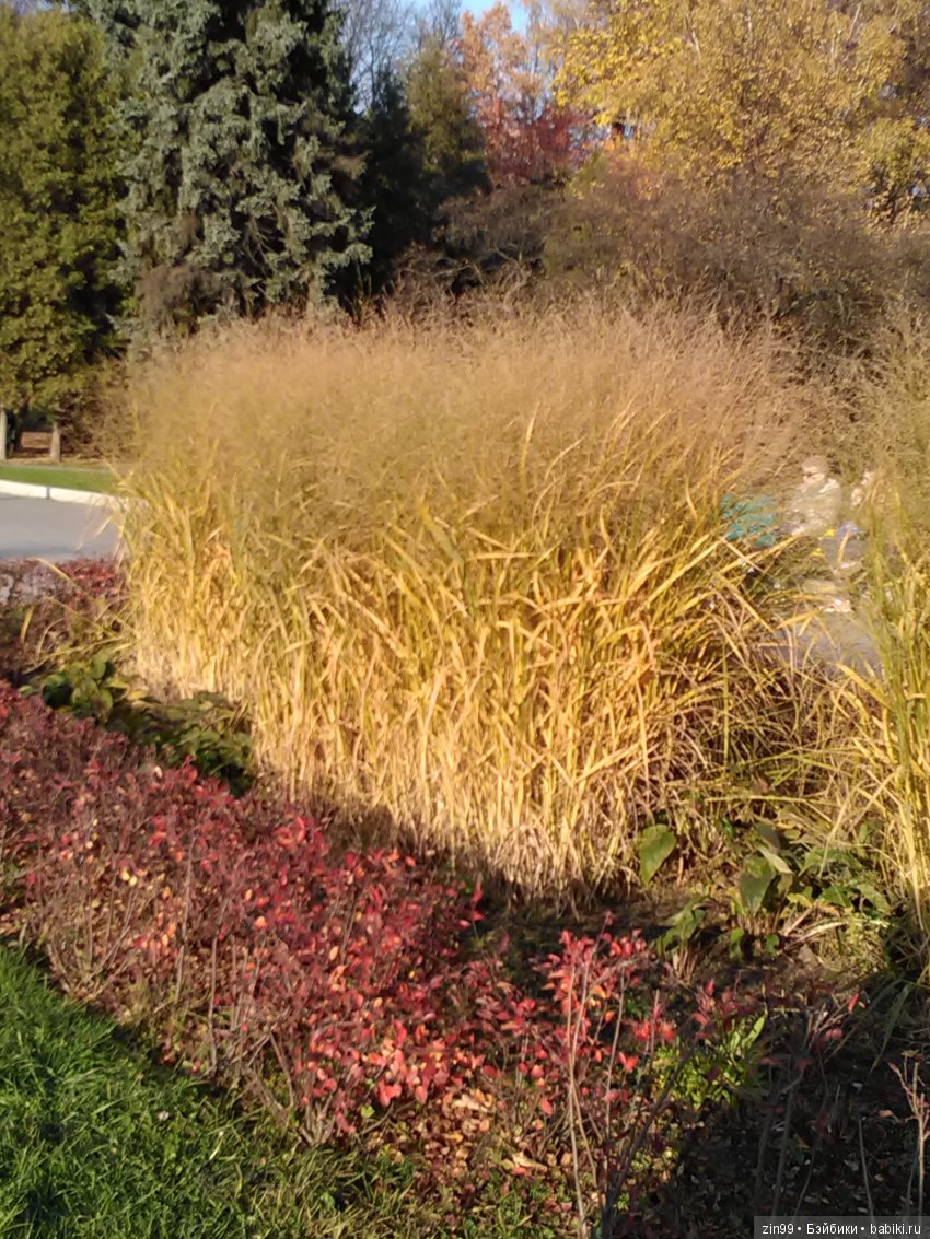 Золотая Осень в парке — Куклы Galoob Baby Face (Фейсинки): винтаж 90