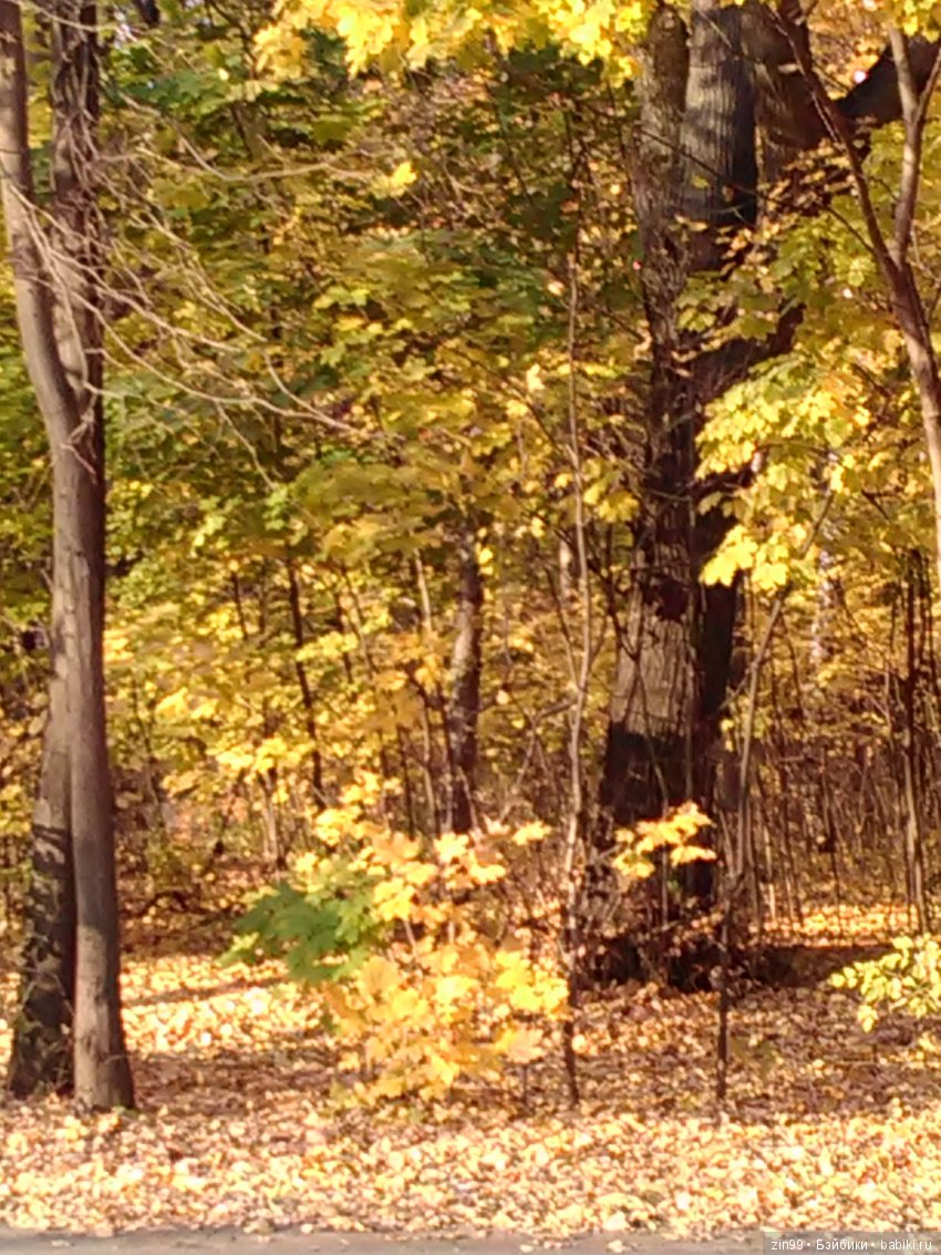 Золотая Осень в парке — Куклы Galoob Baby Face (Фейсинки): винтаж 90