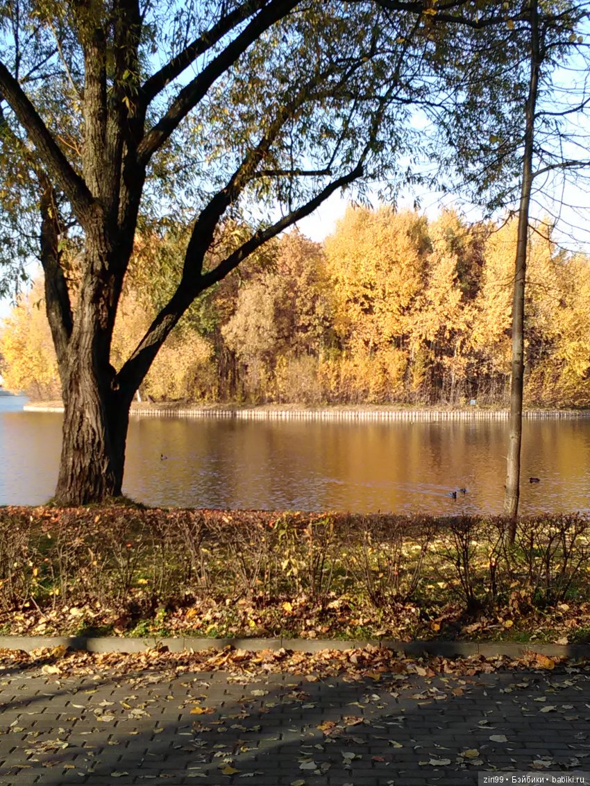 Золотая Осень в парке — Куклы Galoob Baby Face (Фейсинки): винтаж 90