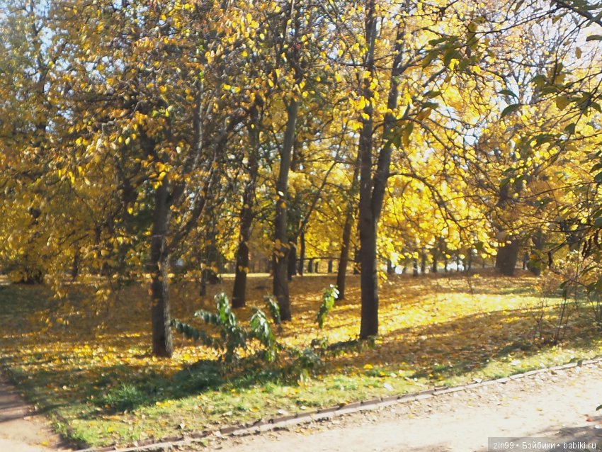 Джуку Кутюр (Juku Couture) на осенней прогулке, когда солнечно и тепло ещё