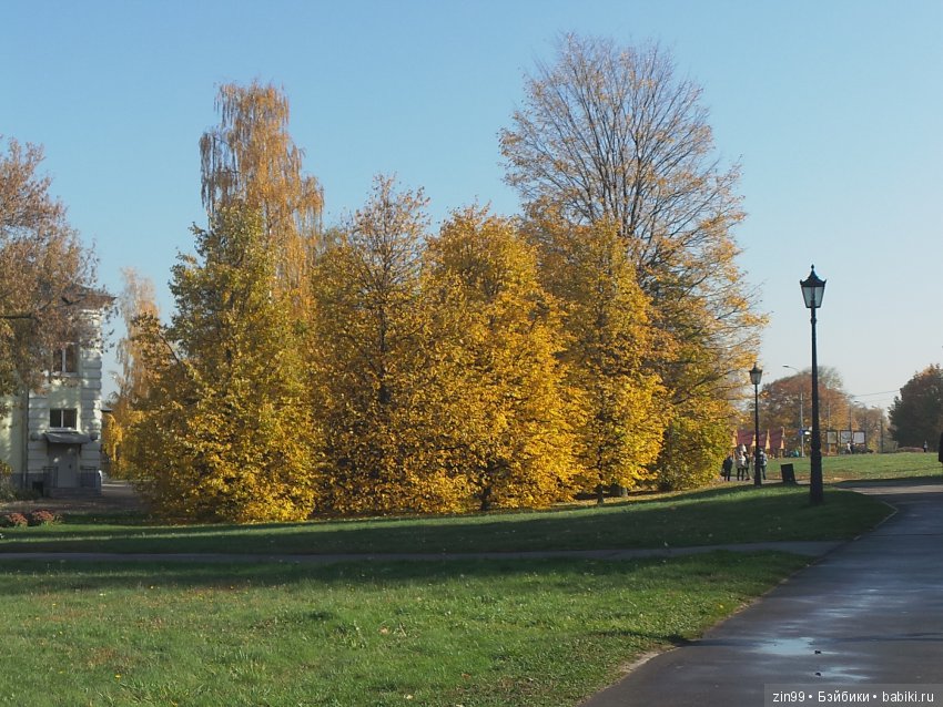 Джуку Кутюр (Juku Couture) на осенней прогулке, когда солнечно и тепло ещё (фото 7)