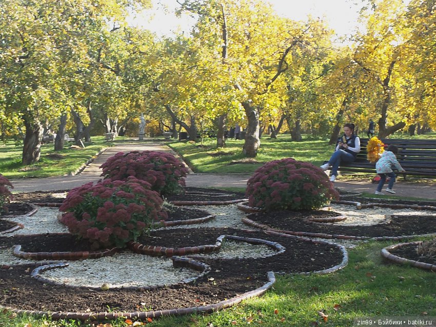 Джуку Кутюр (Juku Couture) на осенней прогулке, когда солнечно и тепло ещё