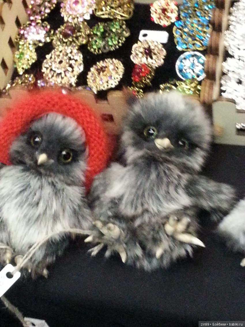 X Московская международная выставка мишек Тедди - "Hello Teddy!" на Тишинке. 7 - 9 декабря 2018