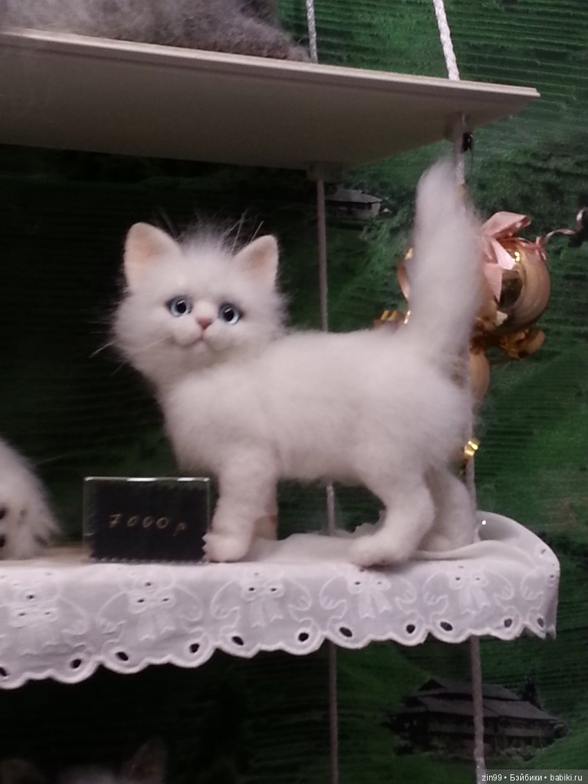 X Московская международная выставка мишек Тедди - "Hello Teddy!" на Тишинке. 7 - 9 декабря 2018