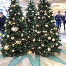 В преддверии Нового года, сказ про Новогоднюю елочку