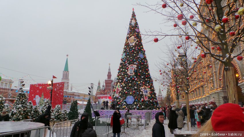 В преддверии Нового года, сказ про Новогоднюю елочку! Продолжение