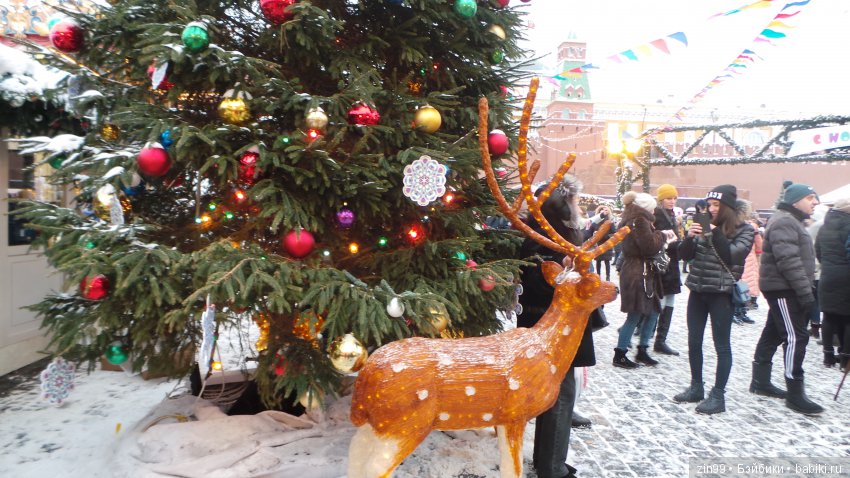 В преддверии Нового года, сказ про Новогоднюю елочку! Продолжение