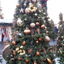 С Новым  2019 годом, Вас дорогие Бейбики