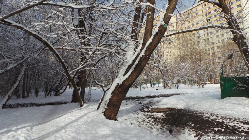 Зимняя сказка за окном или приехала новая девочка Kidz'n'Cats (фото 10)