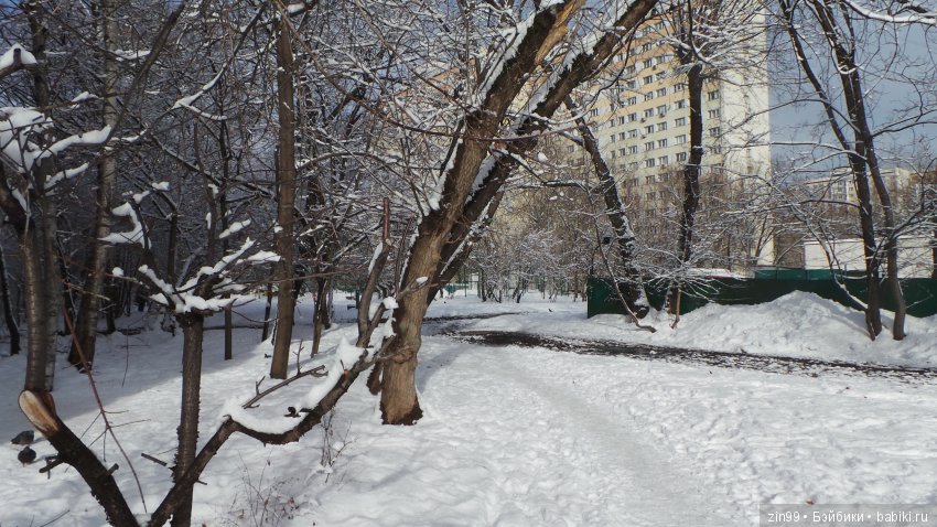 Зимняя сказка за окном или приехала новая девочка Kidz'n'Cats (фото 9)