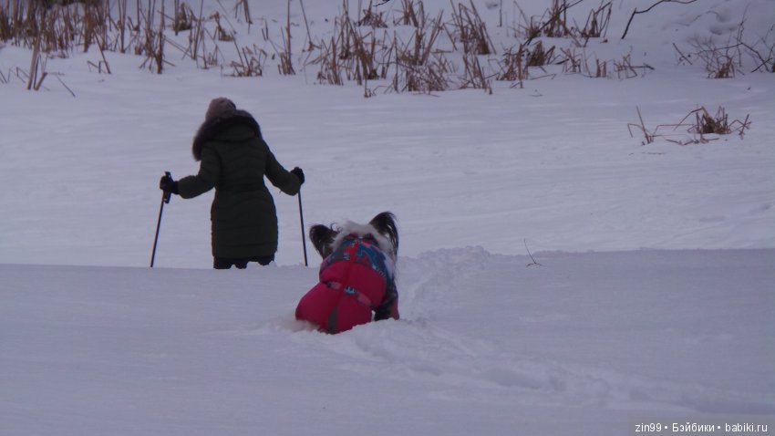 Воскресная прогулка с куклами Kidz'n'Cats, и не только это