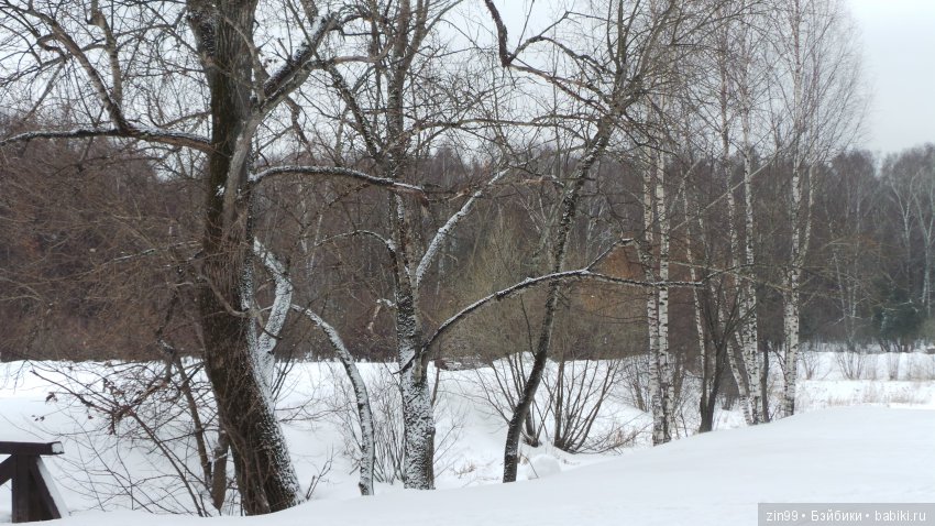 Воскресная прогулка с куклами Kidz'n'Cats, и не только это