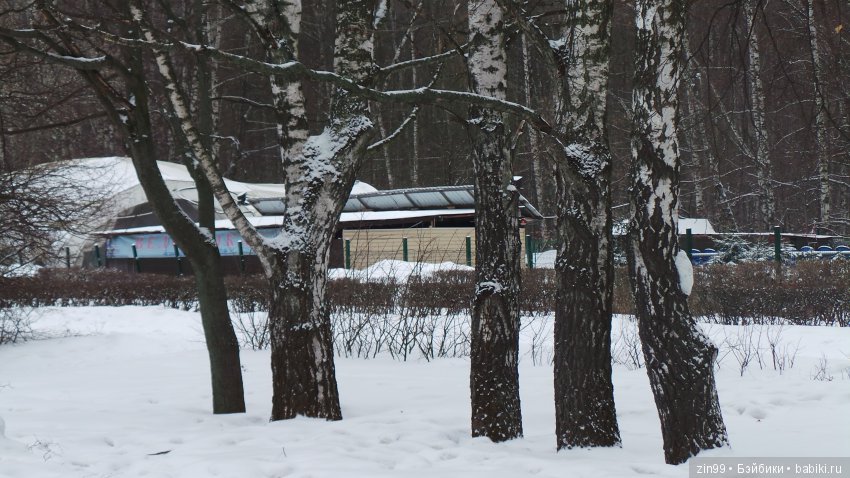 Воскресная прогулка с куклами Kidz'n'Cats, и не только это