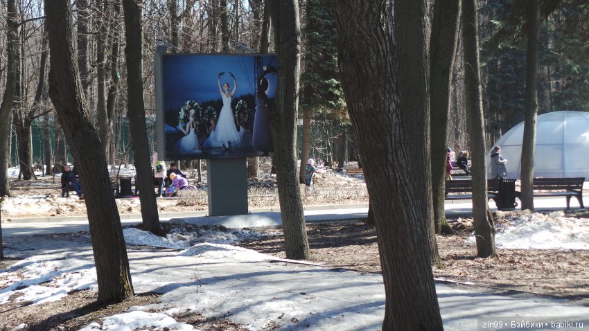 Воскресным днём, весенние Веснушки на прогулке (фото 2)