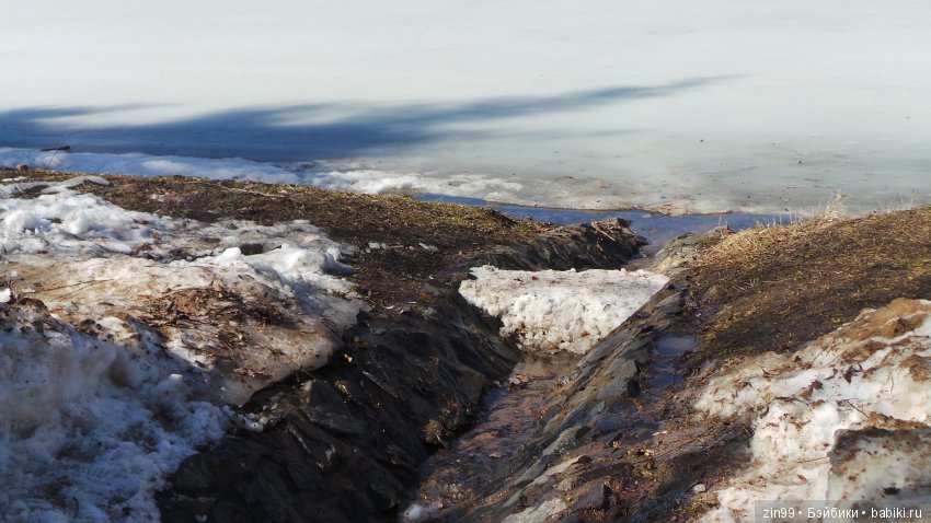 Воскресным днём, весенние Веснушки на прогулке