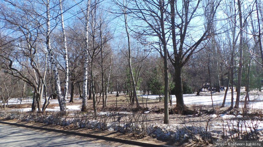 Воскресным днём, весенние Веснушки на прогулке