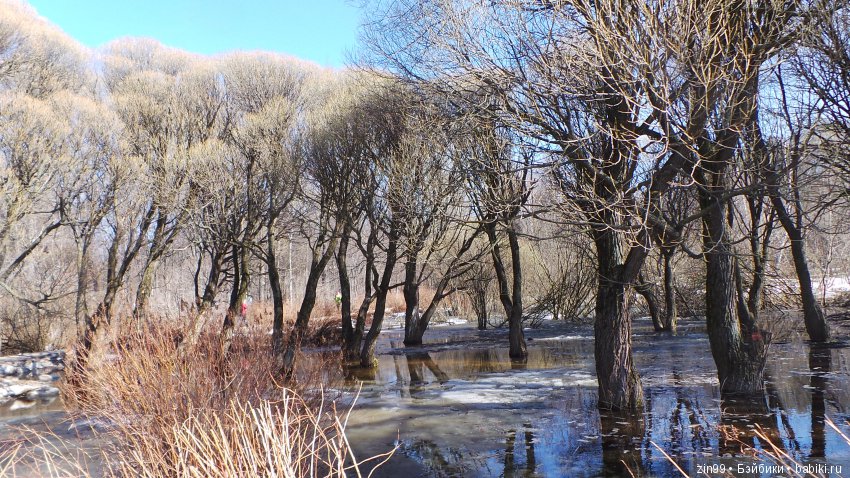 Воскресным днём, весенние Веснушки на прогулке