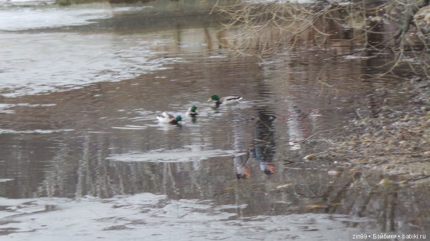 Куклы Magic attic club dolls, Обаятельные куклы и не только!! Заходите со своими