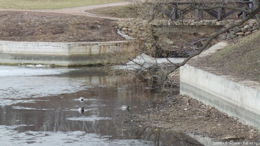 Куклы Magic attic club dolls, Обаятельные куклы и не только!! Заходите со своими