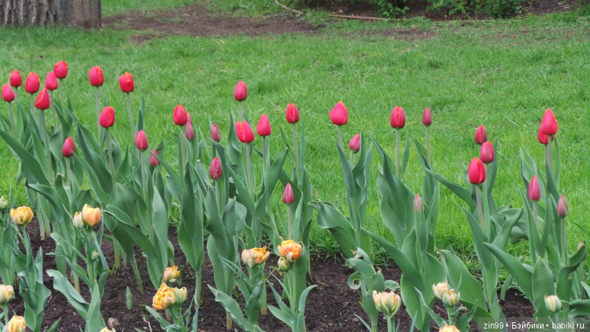 Мои куколки от Линды Рик, и еще подарили одну