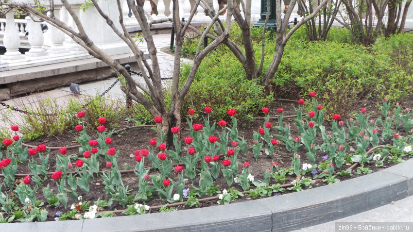 Мои куколки от Линды Рик, и еще подарили одну