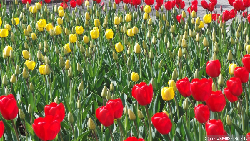 Весна, Майские и Куклы фабрики Весна