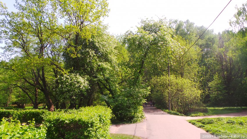 Мои любимые Kidz'n'Cats! Жаннет