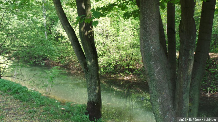 Мои любимые Kidz'n'Cats! Жаннет