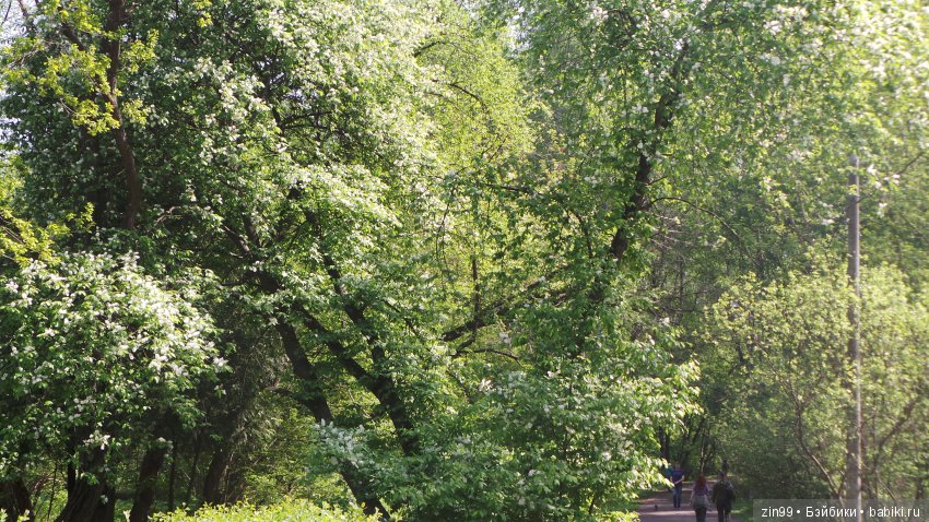 Мои любимые Kidz'n'Cats! Жаннет