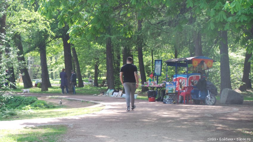 Мои любимые Kidz'n'Cats! Жаннет