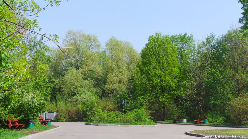 Мои любимые Kidz'n'Cats! Жаннет