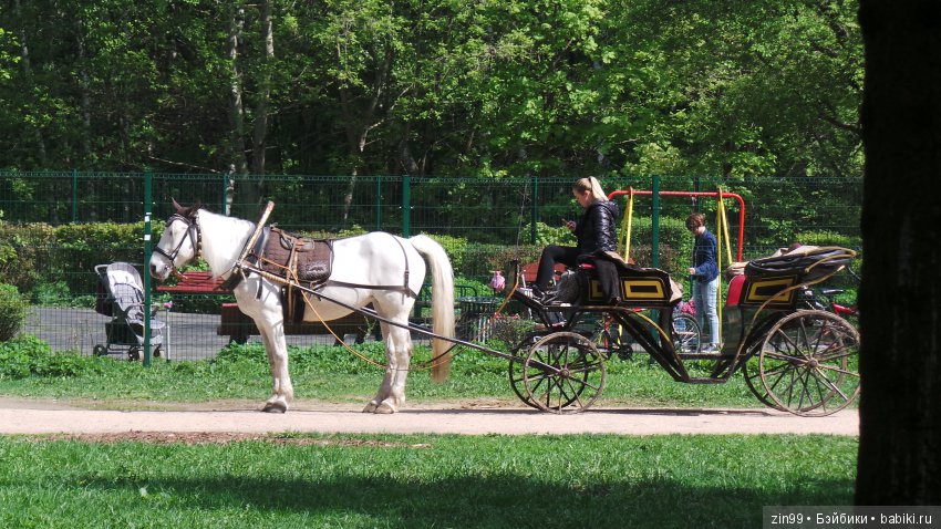Мои любимые Kidz'n'Cats! Жаннет