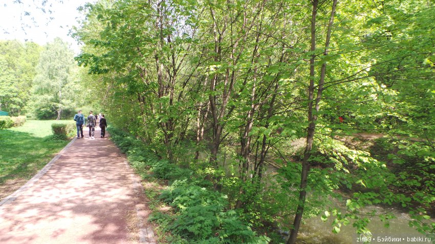 Мои любимые Kidz'n'Cats! Жаннет