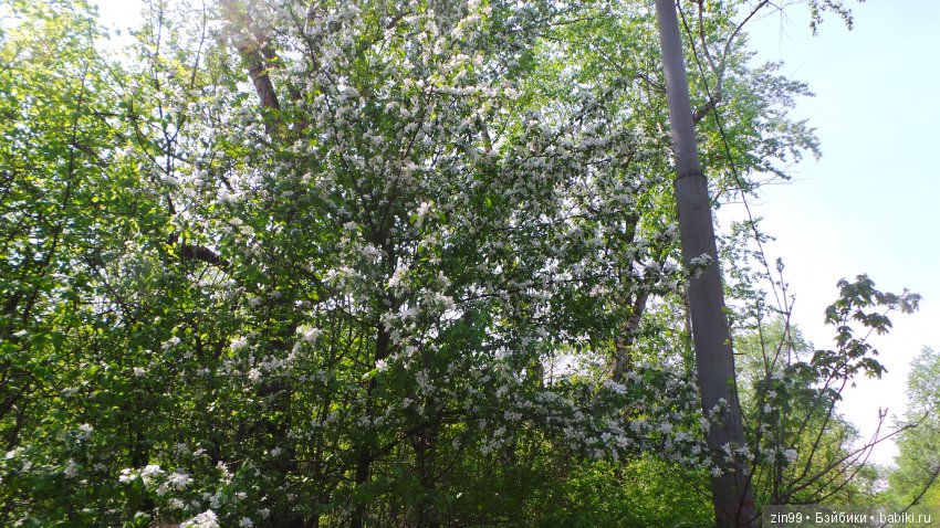 Мои любимые Kidz'n'Cats! Жаннет (фото 9)