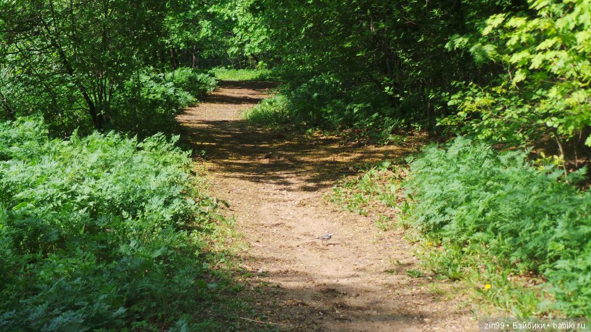 Мои любимые Kidz'n'Cats! Жаннет