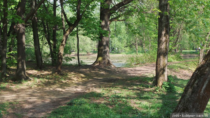 Мои любимые Kidz'n'Cats! Жаннет