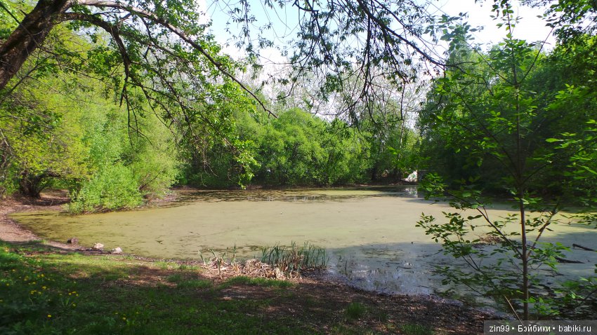 Мои любимые Kidz'n'Cats! Жаннет