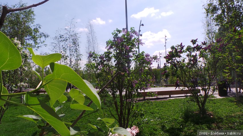 Кукло-встреча друзей: Крузелинг и мини Kidz'n'Cats! Гуляем вместе