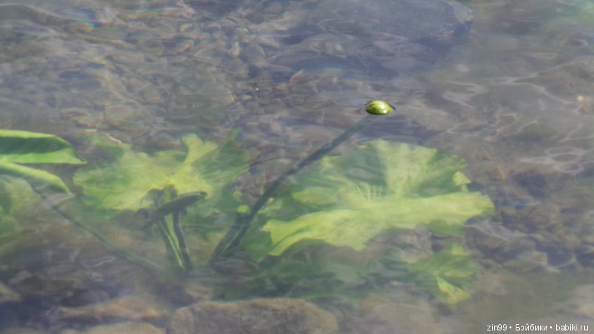 Кукло-встреча друзей: Крузелинг и мини Kidz'n'Cats! Гуляем вместе