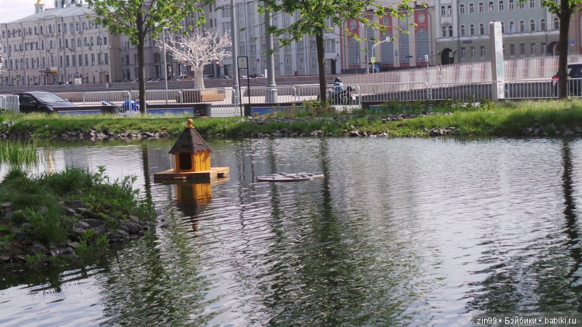 Кукло-встреча друзей: Крузелинг и мини Kidz'n'Cats! Гуляем вместе