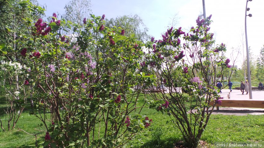 Кукло-встреча друзей: Крузелинг и мини Kidz'n'Cats! Гуляем вместе