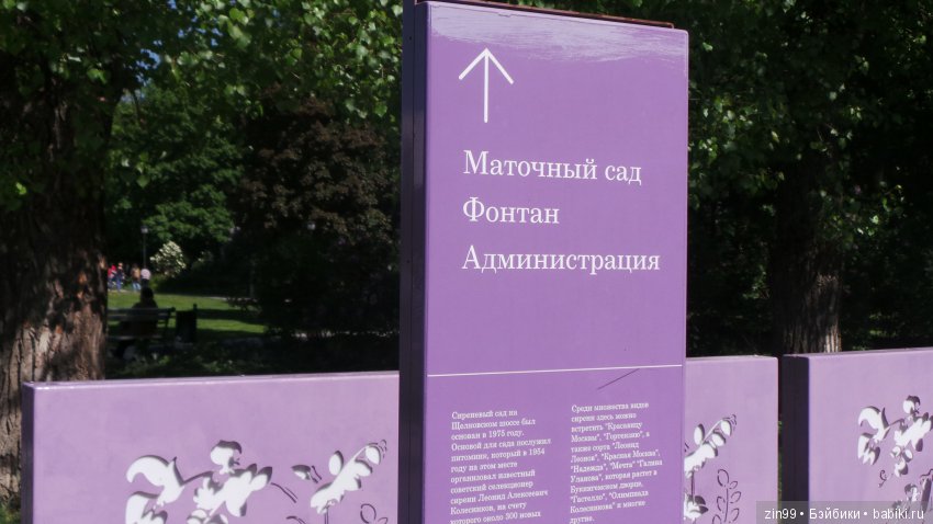 Цветёт сирень или Леночка и Сирень