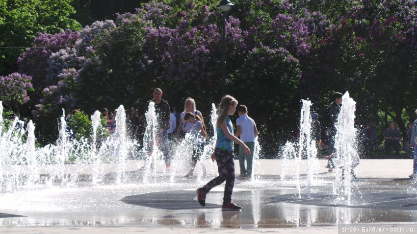 Цветёт сирень или Леночка и Сирень