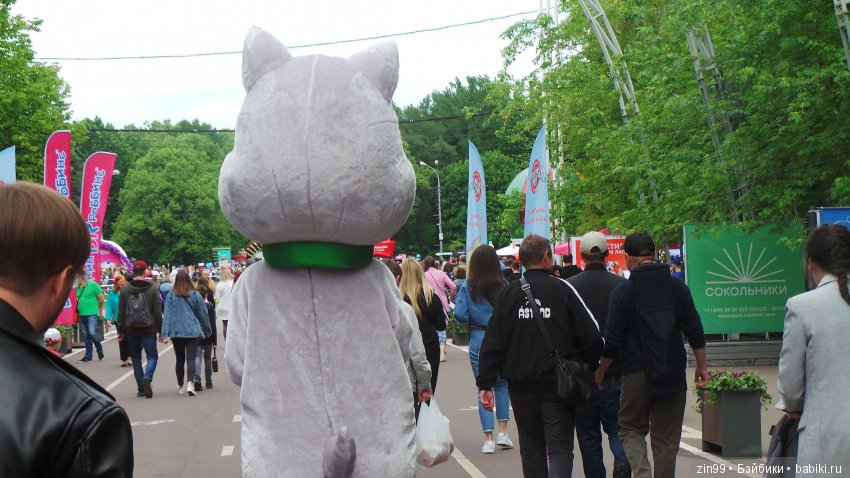 Праздник Мороженого в Сокольниках (фото 5)