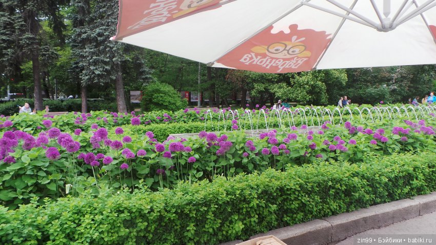 Праздник Мороженого в Сокольниках (фото 10)